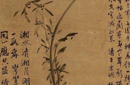 马湘兰是怎么死的？马湘兰是个怎么样的人？
