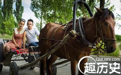 塔塔尔族历史 塔塔尔族人们是怎样养蜂致富的