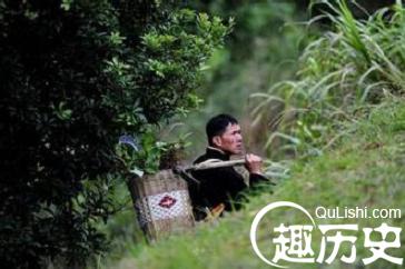苗族医药文化 苗族医药的起源与发展