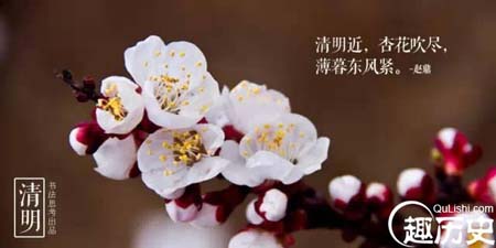 清明里的宋词浅吟低唱 词句美得让人心神荡漾