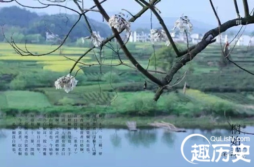盘点十首最美清明诗 清明古诗集锦