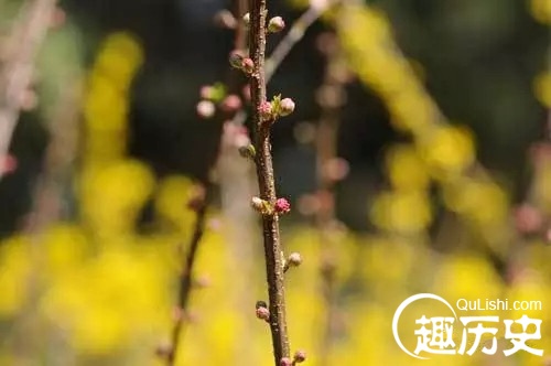 盘点十首最美清明诗 清明古诗集锦