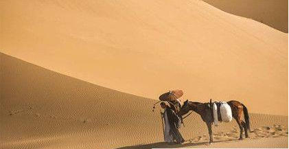 唐代著名高僧玄奘简介:玄奘及其弟子翻译出哪些经书典籍?