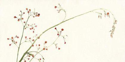 唐代诗人杜荀鹤简介：杜荀鹤为何有&ldquo;惟宫词为唐第一&rdquo;的评价？