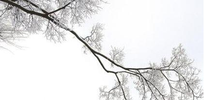 张溥简介 明代文学家,明史记有他“七录七焚”的佳话