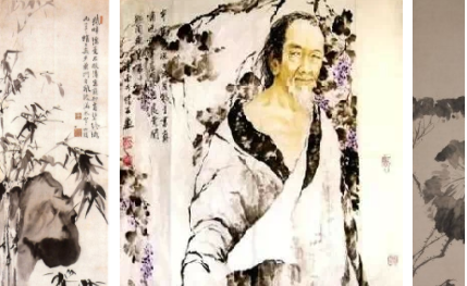 明代画家徐渭纸本水墨画：《牡丹蕉石图》简介 现藏于上海博物馆