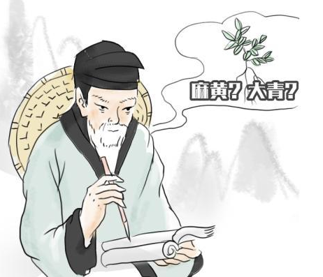 李时珍是怎么著作《本草纲目》的?李时珍为何要亲身试百草?