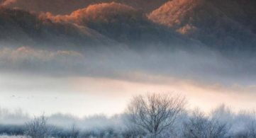 孟浩然才华横溢为什么没有一官半职？孟浩然是仕途是怎么断送的？