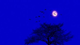 唐朝布衣诗人孟浩然是个怎样的人？胸怀大志却一生写着淡然的诗！