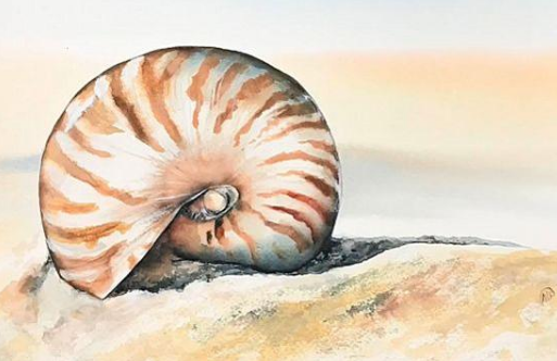 孔子说&ldquo;有朋自远方来，不亦乐乎&rdquo;！回到千年以前真的是这样吗？