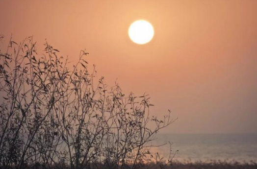 辛弃疾为什么被称为&ldquo;词中之龙&rdquo;？25首诗词中见真情！