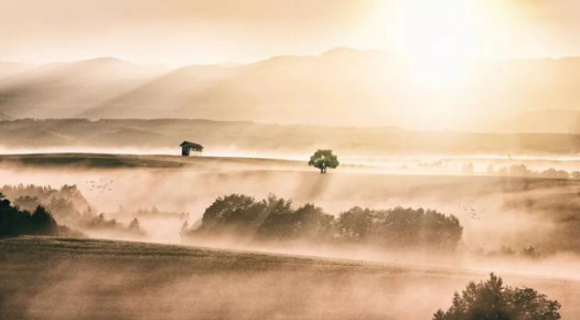 辛弃疾为什么被称为&ldquo;词中之龙&rdquo;？25首诗词中见真情！