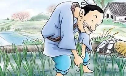 成语&ldquo;拔苗助长&rdquo;的原意是什么？其中又有哪些历史典故呢？