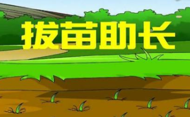 成语&ldquo;拔苗助长&rdquo;的原意是什么？其中又有哪些历史典故呢？