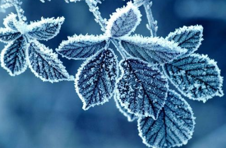 &ldquo;霜降&rdquo;有哪些习俗和活动？&ldquo;霜降&rdquo;是怎么来的？