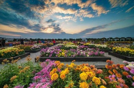 &ldquo;霜降&rdquo;有哪些习俗和活动？&ldquo;霜降&rdquo;是怎么来的？