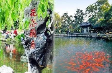 为什么古人书法作品中常有错别字？其实只是被时代淘汰的旧时写法！