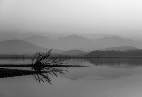 《琵琶行》白居易为什么对琵琶女的遭遇同情不已？原来白居易是感同身受！