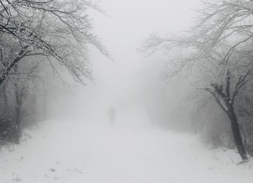 《琵琶行》白居易为什么对琵琶女的遭遇同情不已？原来白居易是感同身受！