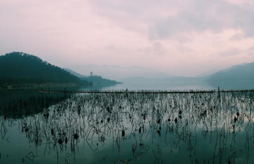 《琵琶行》白居易为什么对琵琶女的遭遇同情不已？原来白居易是感同身受！